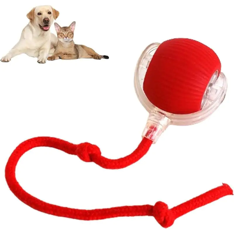 Smart Pet Ball