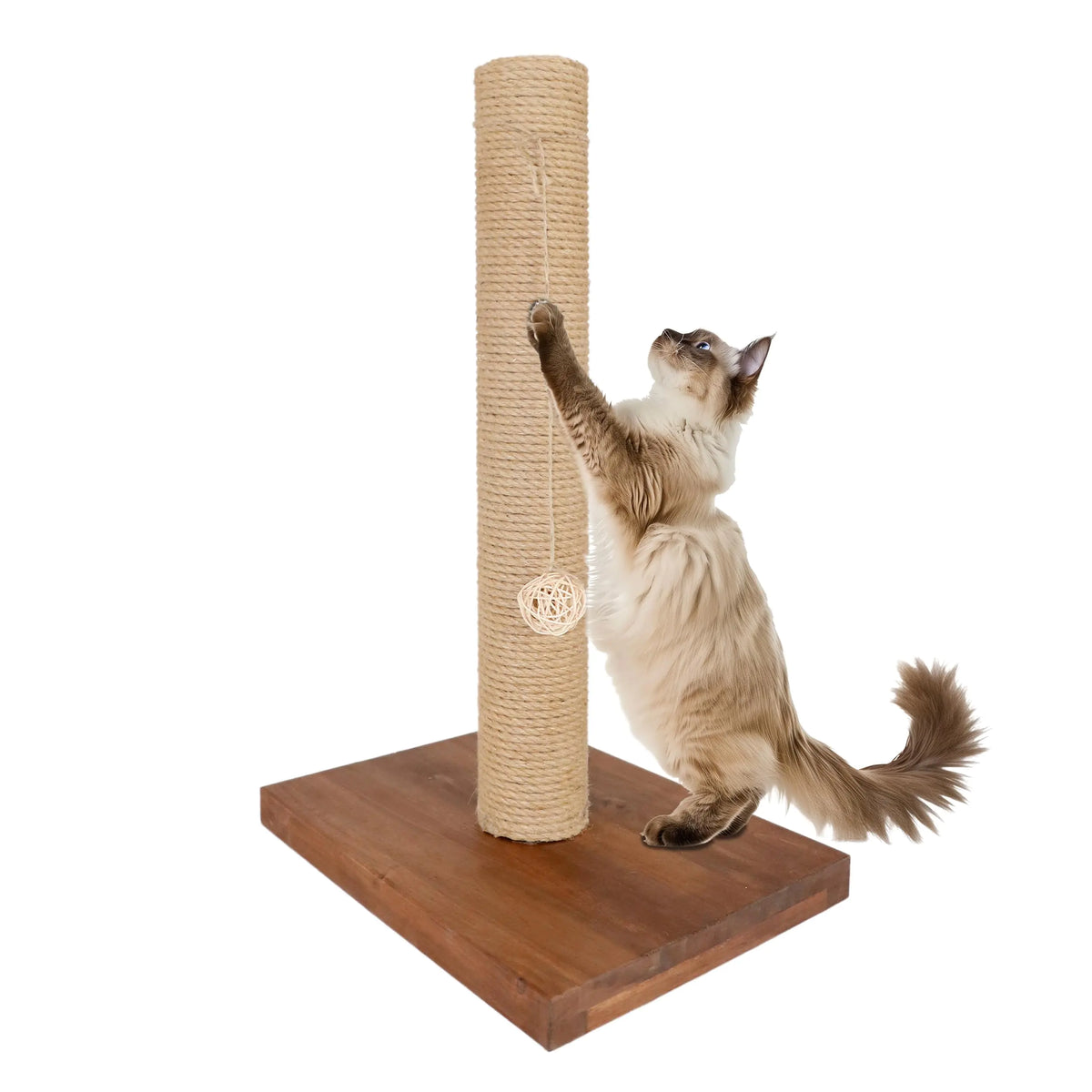 Pet Scratching Post
